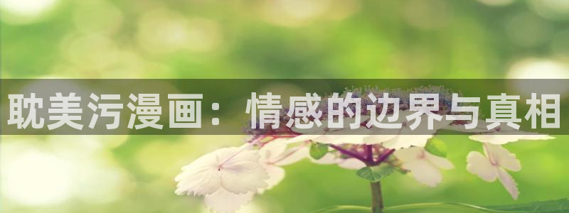 贝勒漫画定义关系：耽美污漫画：情感的边界与真相