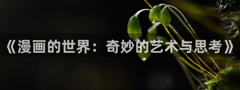 贝勒漫画网页：《漫画的世界：奇妙的艺术与思考》