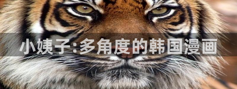 贝勒漫画全集：小姨子:多角度的韩国漫画