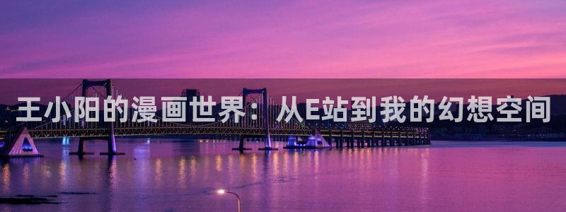 贝勒漫画在线阅读：王小阳的漫画世界：从E站到我的幻想空间