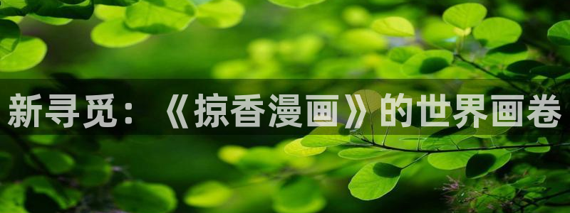 水边之夜贝勒漫画下拉式：新寻觅：《掠香漫画》的世界画卷