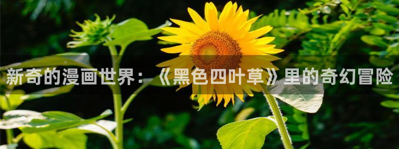 全部贝勒漫画：新奇的漫画世界：《黑色四叶草》里的奇幻冒险
